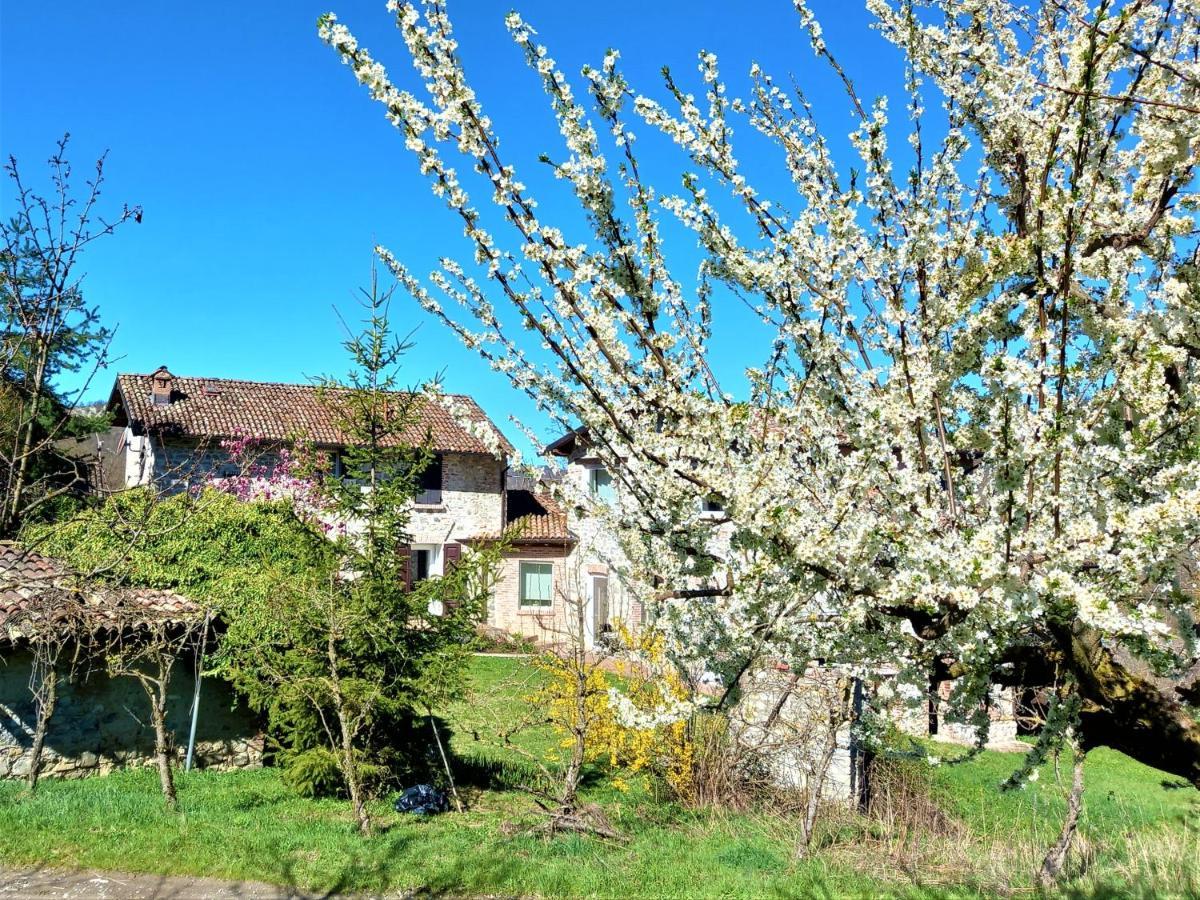 Agriturismo Malvista Villa San Sebastiano Curone Exterior photo